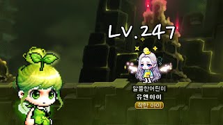 250렙 순식간에 찍기 (메이플스토리)