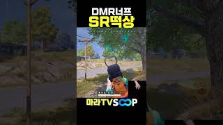 DMR너프라고? 그럼 SR쓸게요~ #shorts #배틀그라운드