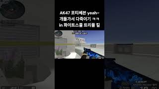 [서든어택] AK47 in 화이트스콜 개돌가서 다죽임ㅋㅋ 폭탄 해체 #웅일tube #서든어택 #개돌 #shorts