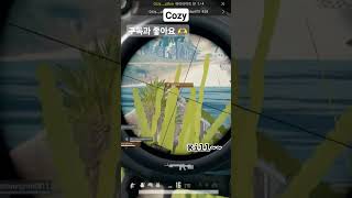 잘 안맞지만 킬~~!! #배그 #배그하이라이트 #배린이…