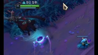 [리그오브레전드] 내 맘대로 빌드 : 카서스는 서포터인가..하아