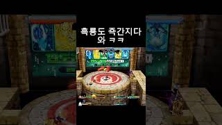 흑룡도는 칼을 2개 꽂아. #겟앰 #겟앰프드 #겟앰준에…