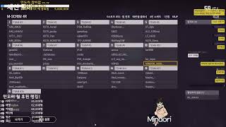 Mindori 배틀그라운드