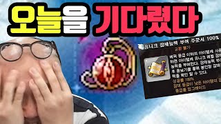 지극히 평범한 메이플스토리(?)