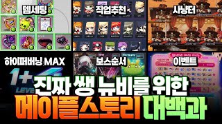 「뉴비 필수 시청」영상 하나로 끝내는 메이플스토리 20…