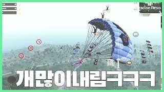 모바일 배틀그라운드 파라다이스에만 절반내린듯ㅋㅋㅋㅋPUBGM