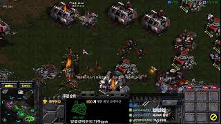 [스틱] 스타 헌터 팀플 스타크래프트 늑대77연승 기록방송 StarCraft 2025.07.21 (월)