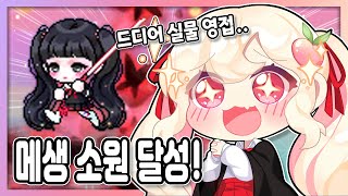 【메이플】 본캐 나워에게 현 시세 100억 짜리 엘로디 헤어 선물해줬습니다! - (메이플스토리, 엘로디헤어, 백도아)