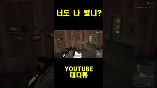 [배틀그라운드] 너도 나 봤니?? #배틀그라운드  #pubg #배그