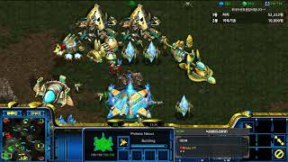 [더드튜브] 구속하면 더강해집니다 감옥토스의반란 스타팀플 헌터 StarCraft Team Play 리마스터 스타크래프트