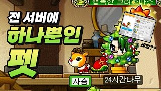 메이플스토리 전섭에 하나밖에 없는 펫