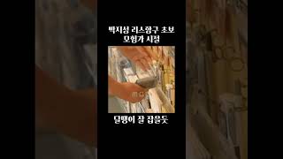 박지성 초보 모험가 시절 #박지성 #메이플스토리 #초보 #모험가