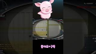 [서든어택] 야 진짜 미안하다ㅋㅋㅋㅋ #shorts  /꿀꿀이좀믿어줘(SuddenAttack)