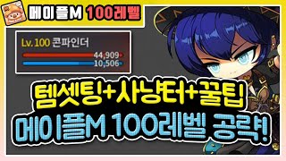 【메이플M】 100레벨 달성! 사냥터+템셋팅+꿀팁 알려…
