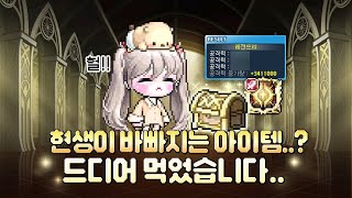 현생이 바빠지는 아이템? 드디어 먹었습니다..! + 수로비교 [메이플스토리]