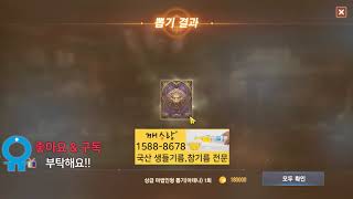 리니지m 오늘의 변신 뽑기 및 인형 뽑기 부터 해보자 …