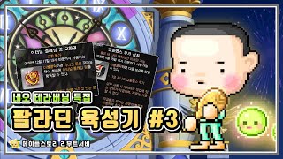 [메이플스토리 리부트] 네오 테라버닝 특집! 팔라딘 육…