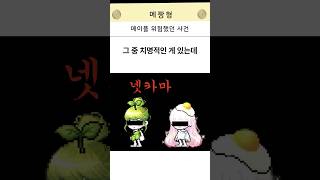 메이플이 위험했던 사건                  …