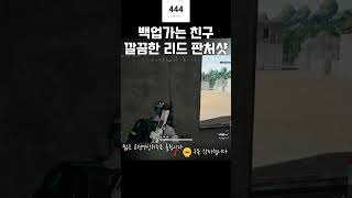 판처리드샷 #배틀그라운드 #PUBG #판처파우스트