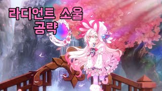 [엘소드/Elsword] 라디언트소울 공략 (라디언트소…