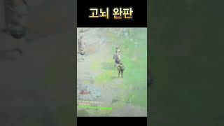 디아 최강무기 고뇌 완판!수리비 감당 불가 ㅜ