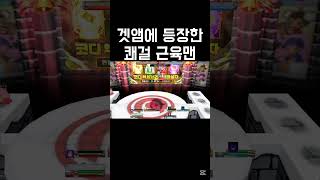 운전 미숙 #겟앰프드 #겟앰 #겟앰비숑