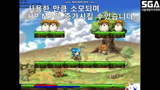 20190721 2D 메이플스토리 모작