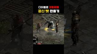 갑옷도 강철골렘 되던가? #광신펫 #아이언골렘【디아블로2레저렉션】