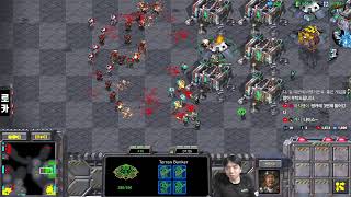 2025.7.30(수) [로카] 빨무 스타크래프트 스타 빠른무한 StarCraft