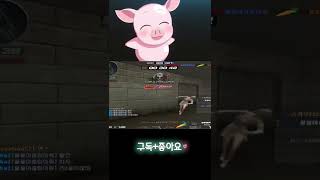 [서든어택] 장난질에 진심ㅋㅋ맨날 신고누적 #shorts / 꿀꿀이좀믿어줘(SuddenAttack)