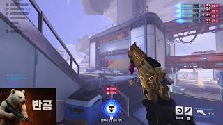 [오버워치] 반곰(BanBear) 탱커 늅늅이 경쟁전