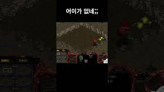 어이가없네;; #스타크래프트 #게임 #온라인게임
