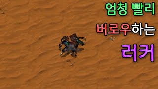 러커가 빨리 버로우한다면? - 스타크래프트1