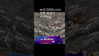 오늘은 리니지다