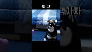 주인아 레이드 전에 할 게 있어... #shorts #와우