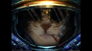 스타크래프트 빠른무한 챠레식 (25.07.26 주말 저녁 방송)