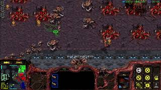 흑랑 스타크래프트 빨무~