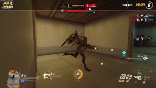 오버워치 경쟁전 초보