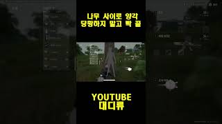 [배틀그라운드] 나무 사이로 양각 당황하지 말고 빡 끝…