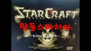 스타크래프트 프로토스 라이브방송하는 왕동입니다. 초보강…