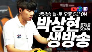 스타크래프트 짭제TV 실력방송고고