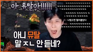 스타크래프트 빨무 1:7 뮤탈컨으로 이겨보려고 했으나.. #2