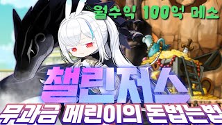 [메이플스토리] 무과금 챌섭에서 자석펫 구매 도전기!