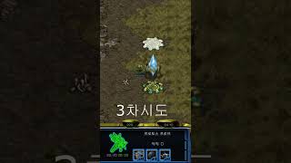 캐논러시 #게임 스타크래프트