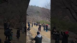 #와우 #신나게놀자 #우리의#인생