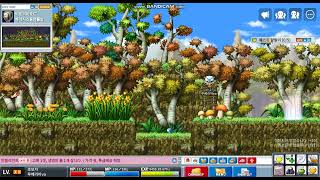 메이플스토리 아이스박스 떨구는 돼지잡는영상