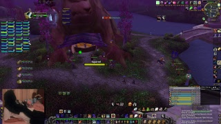 Vanilla WoW Classic Northdale …