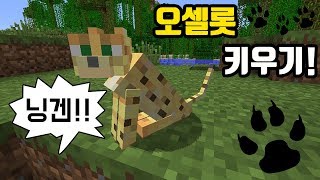 오셀롯 키우기마인크래프트 애니메이션
