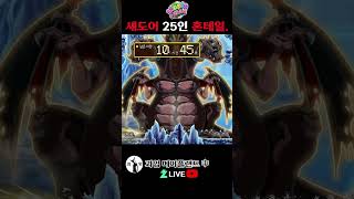 섀도어 25인 혼테일. 메이플랜드