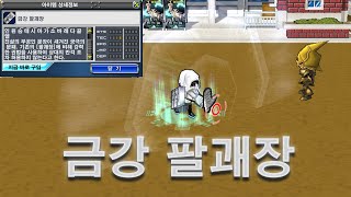 겟앰프드 금강팔괘장 분석